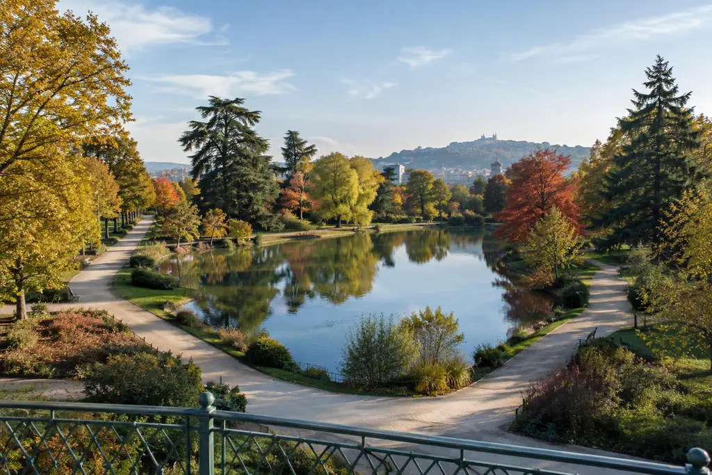Des chemins convergent autour d’un bassin bordé d’arbres dans un parc lyonnais.